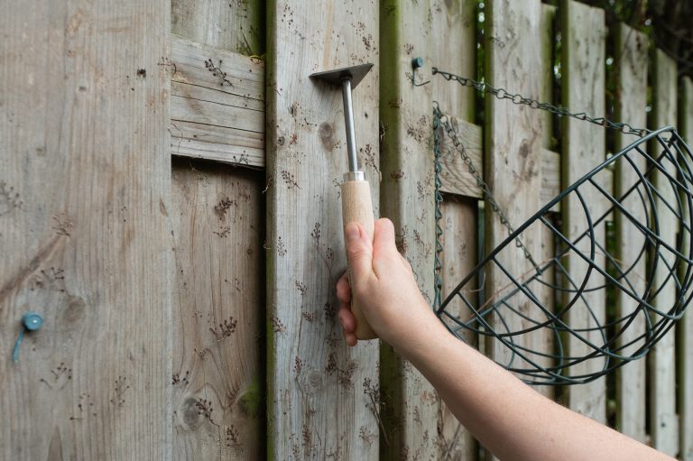 Fugtskjolder på træ – forstå årsagerne, løsningerne og hvordan du beskytter dit hjem